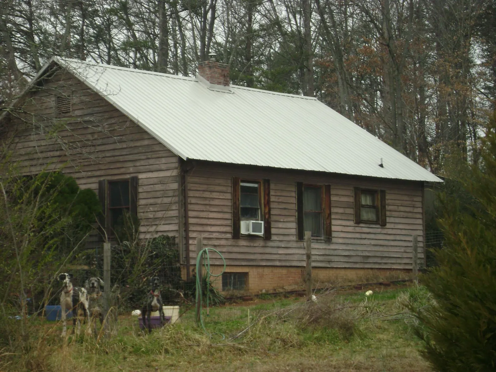 White metal roof on an old wood sided farmhouse, from a Asphalt Shingle Roof Repair job in Douglas